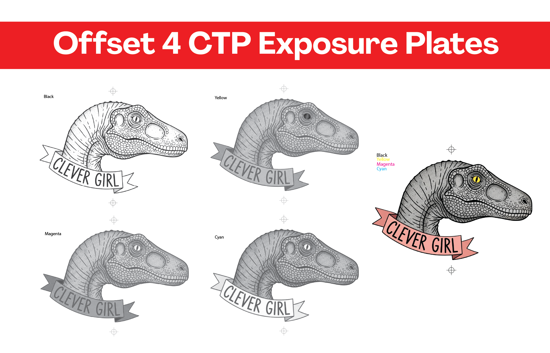 CMYK CTP plate exposure setup for offset printing
